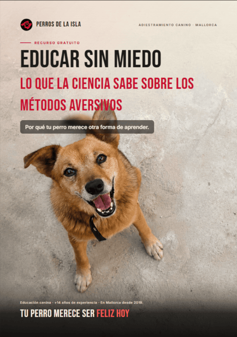 Portada de la guía gratuita: Educar sin miedo