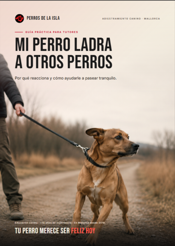 Portada de la guía: Mi perro ladra a otros perros